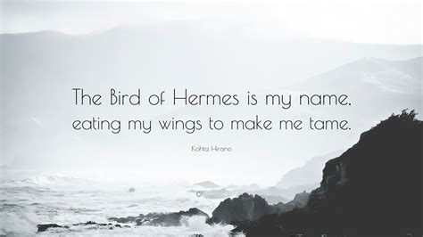 i am the bird of hermes quote